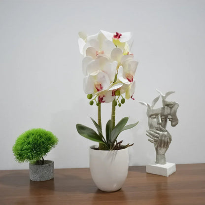 Orhidee cu aspect natural in ghiveci ceramic, 53 cm, Naimeed D4846, Alb
