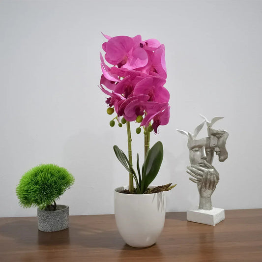 Orhidee cu aspect natural in ghiveci ceramic, 53 cm, Naimeed D4846, Magenta