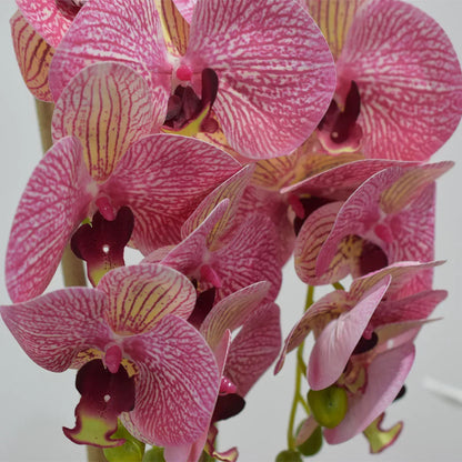 Orhidee cu aspect natural in ghiveci ceramic, 53 cm, Naimeed D4846, Roz