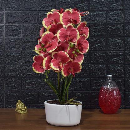 Orhidee cu aspect natural in ghiveci ceramic, 50 cm, Naimeed D4848, Rosu