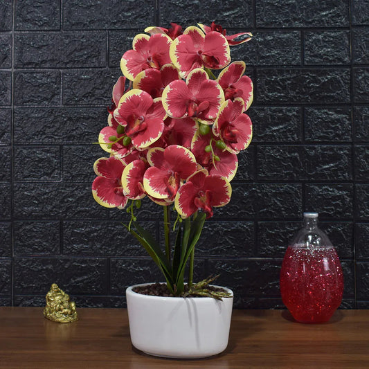Orhidee cu aspect natural in ghiveci ceramic, 50 cm, Naimeed D4848, Rosu