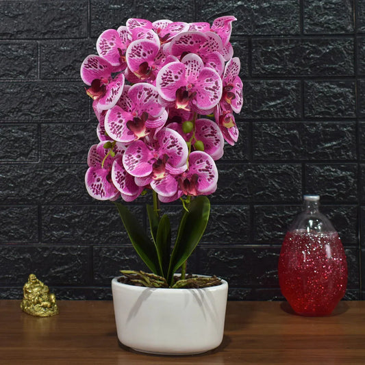 Orhidee cu aspect natural in ghiveci ceramic, 50 cm, Naimeed D4848, Roz