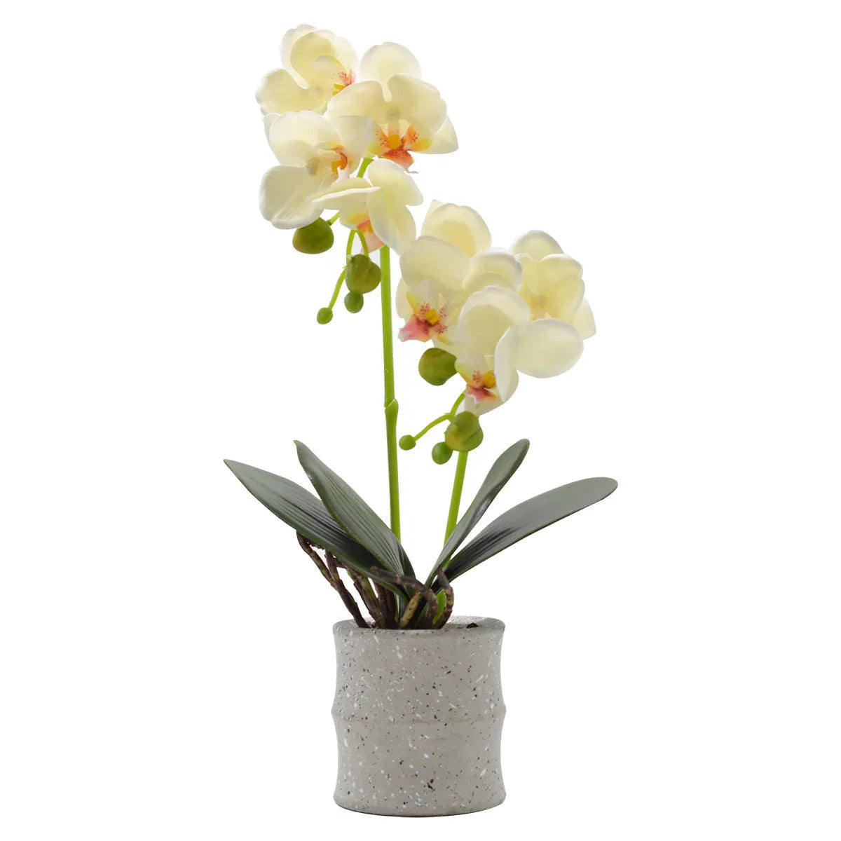 Orhidee cu aspect natural in ghiveci ceramic, 35 cm, Naimeed D4849, Galben