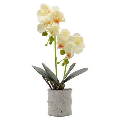 Orhidee cu aspect natural in ghiveci ceramic, 35 cm, Naimeed D4849, Galben