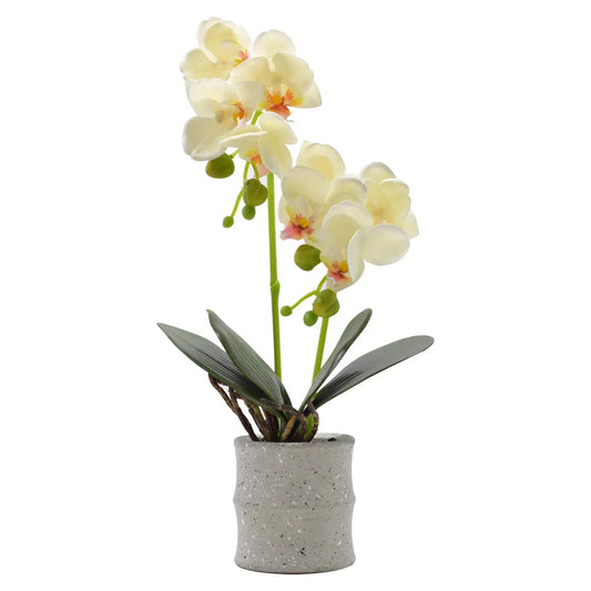 Orhidee cu aspect natural in ghiveci ceramic, 35 cm, Naimeed D4849, Galben