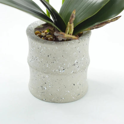 Orhidee cu aspect natural in ghiveci ceramic, 35 cm, Naimeed D4849, Galben
