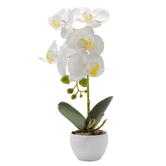Orhidee cu aspect natural in ghiveci ceramic, 33 cm, Naimeed D4851, Alb