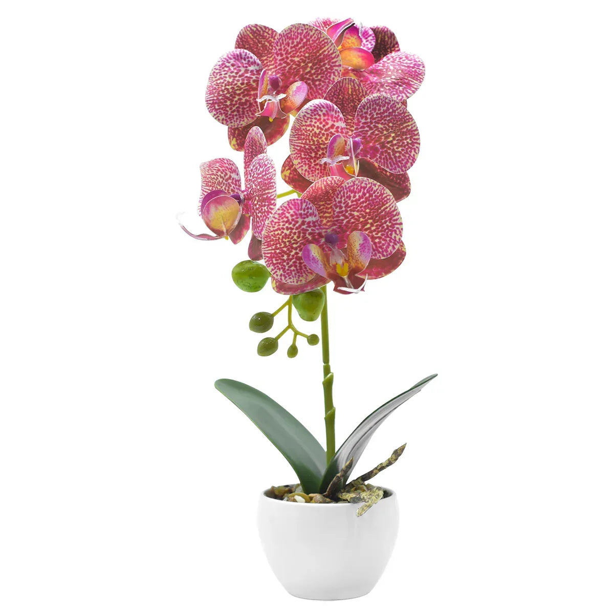 Orhidee cu aspect natural in ghiveci ceramic, 33 cm, Naimeed D4851, RozGalben