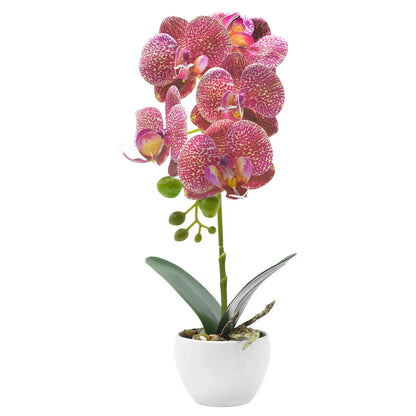 Orhidee cu aspect natural in ghiveci ceramic, 33 cm, Naimeed D4851, RozGalben