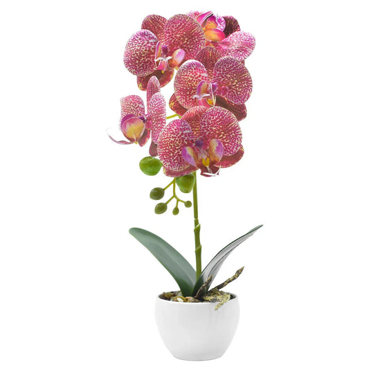Orhidee cu aspect natural in ghiveci ceramic, 33 cm, Naimeed D4851, RozGalben