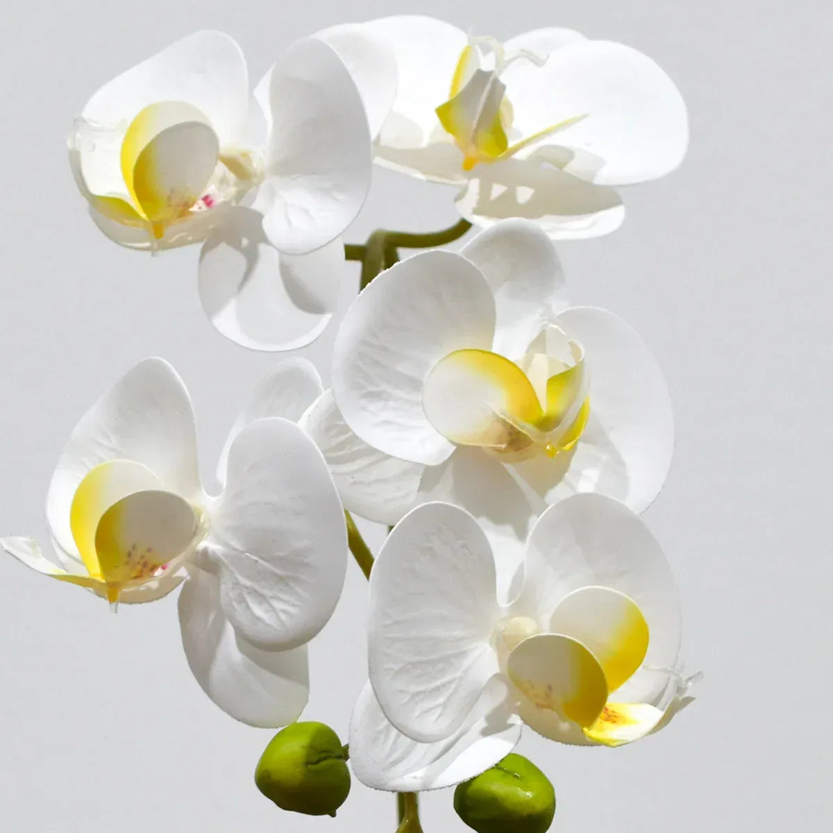 Orhidee cu aspect natural in ghiveci ceramic, 33 cm, Naimeed D4851, Alb