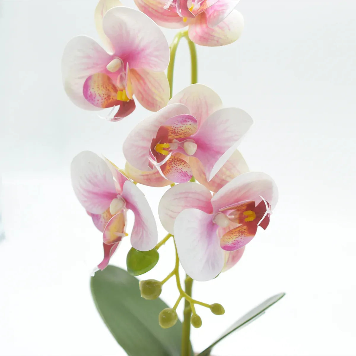 Orhidee cu aspect natural in ghiveci ceramic, 33 cm, Naimeed D4851, Roz