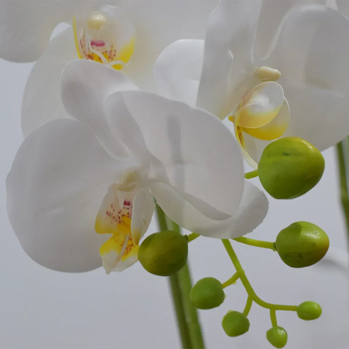 Orhidee cu aspect natural in ghiveci ceramic, 49 cm, Naimeed D4852, Alb