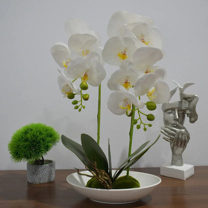 Orhidee cu aspect natural in ghiveci ceramic, 49 cm, Naimeed D4852, Alb