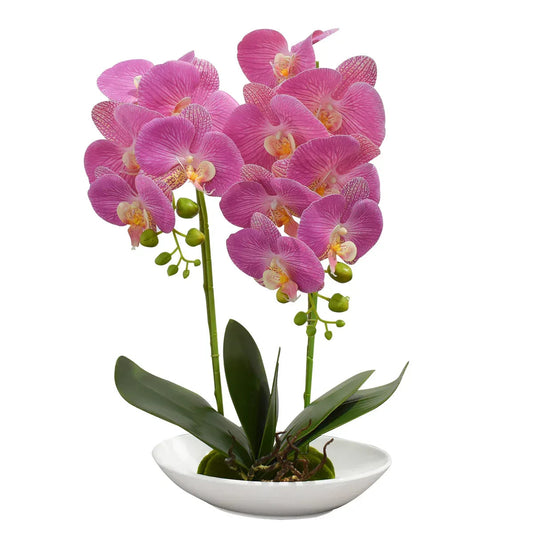Orhidee cu aspect natural in ghiveci ceramic, 49 cm, Naimeed D4852, Magenta