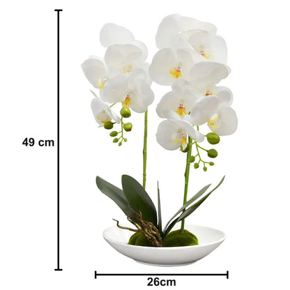 Orhidee cu aspect natural in ghiveci ceramic, 49 cm, Naimeed D4852, Alb