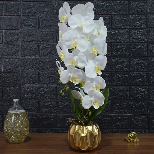 Orhidee cu aspect natural in ghiveci ceramic, 60 cm, Naimeed D4854, Alb