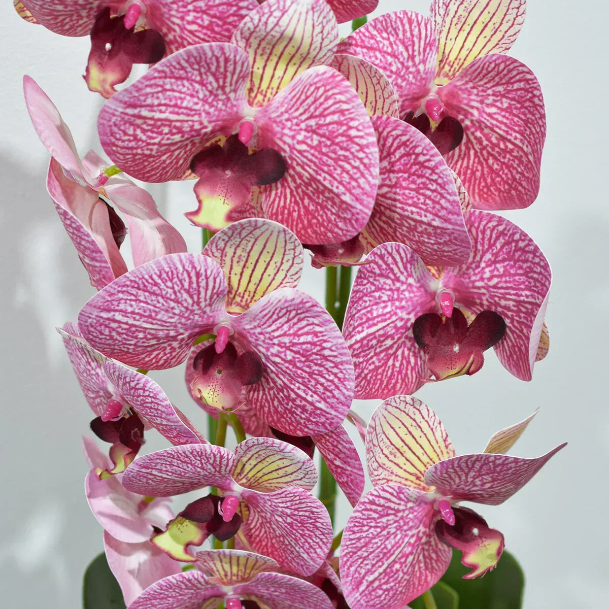 Orhidee cu aspect natural in ghiveci ceramic, 60 cm, Naimeed D4854, RozGalben