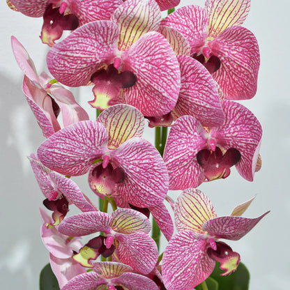 Orhidee cu aspect natural in ghiveci ceramic, 60 cm, Naimeed D4854, RozGalben