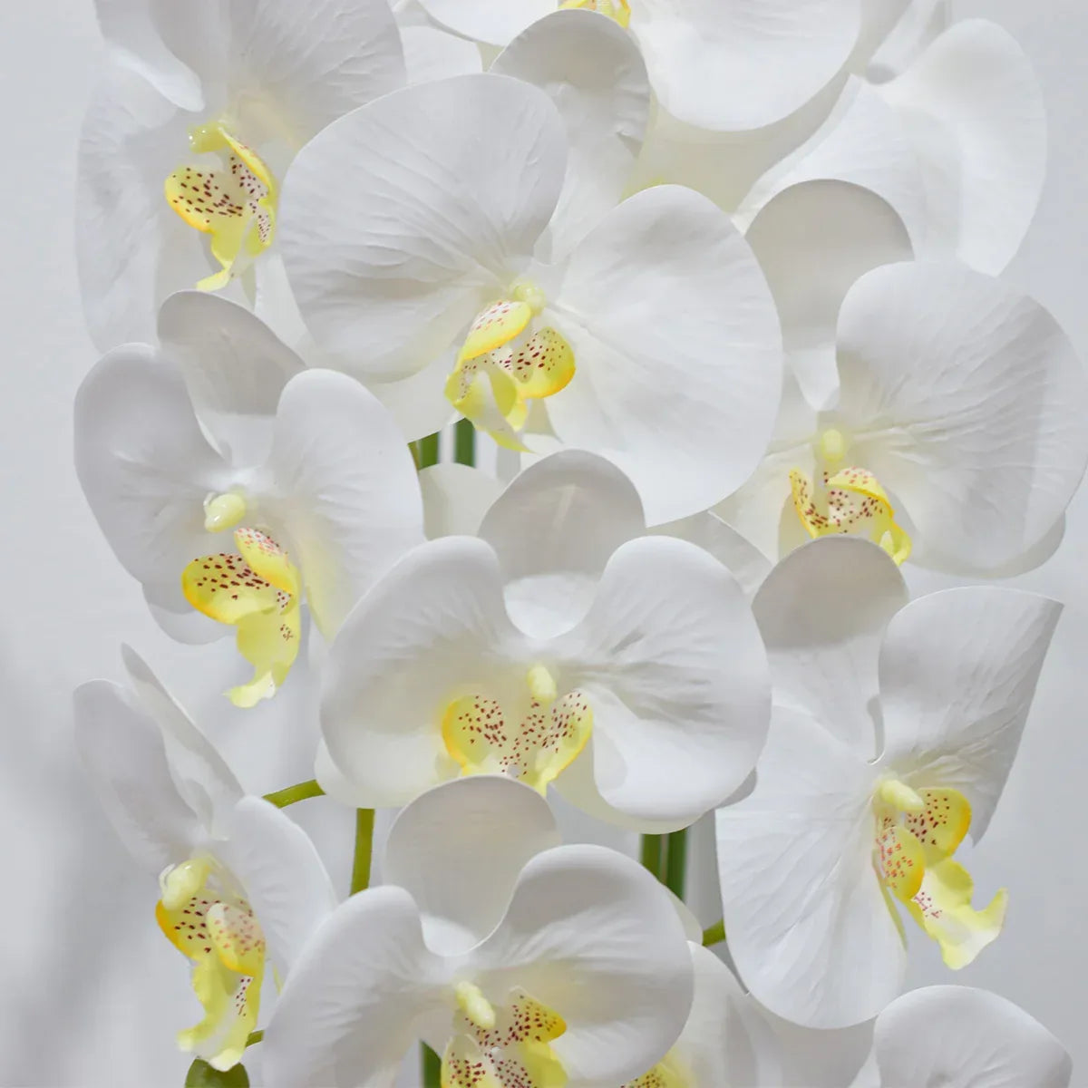 Orhidee cu aspect natural in ghiveci ceramic, 70 cm, Naimeed D4855, Alb