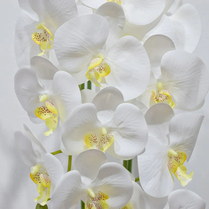 Orhidee cu aspect natural in ghiveci ceramic, 70 cm, Naimeed D4855, Alb