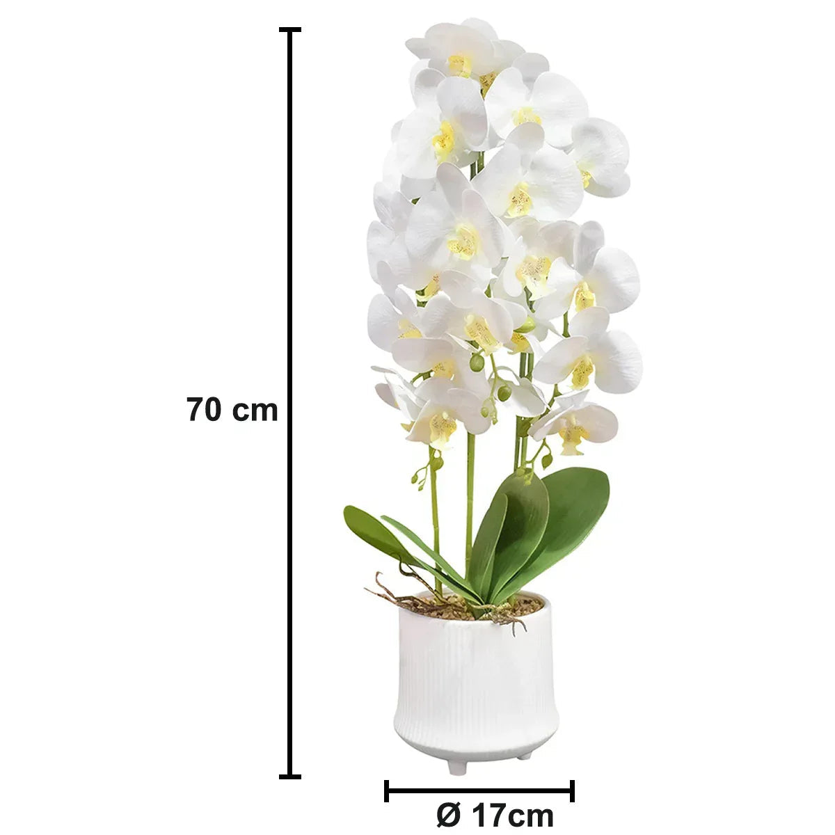 Orhidee cu aspect natural in ghiveci ceramic, 70 cm, Naimeed D4855, Alb