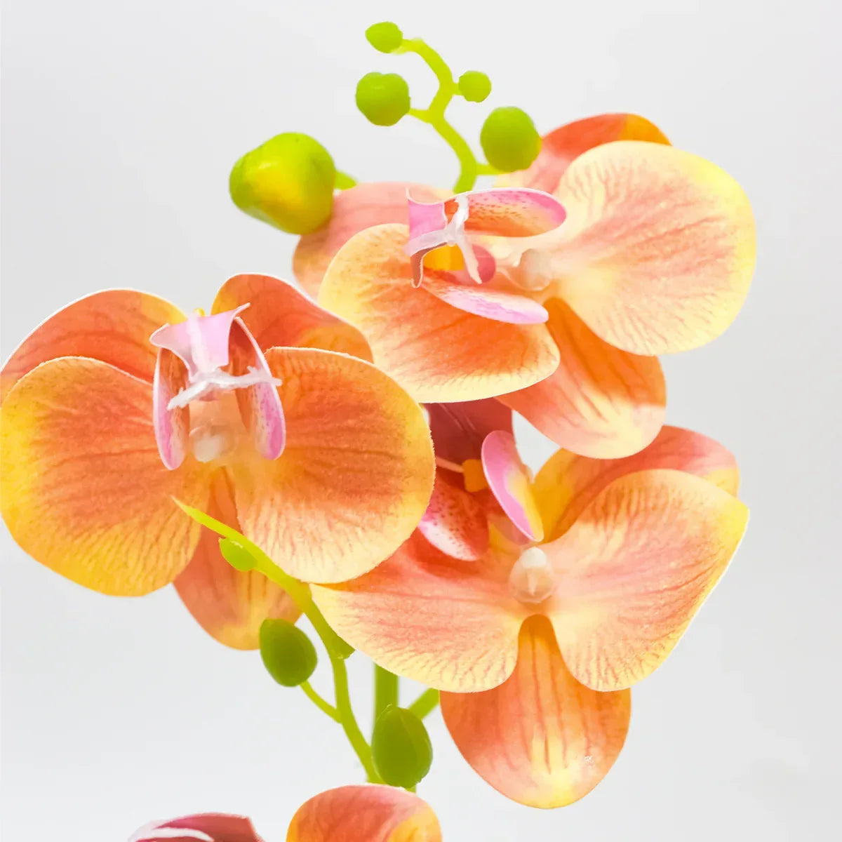 Orhidee cu aspect natural in ghiveci ceramic, 30 cm, Naimeed D4856, Portocaliu