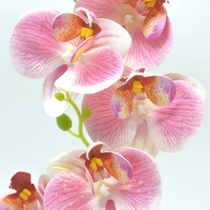 Orhidee cu aspect natural in ghiveci ceramic, 30 cm, Naimeed D4856, Roz