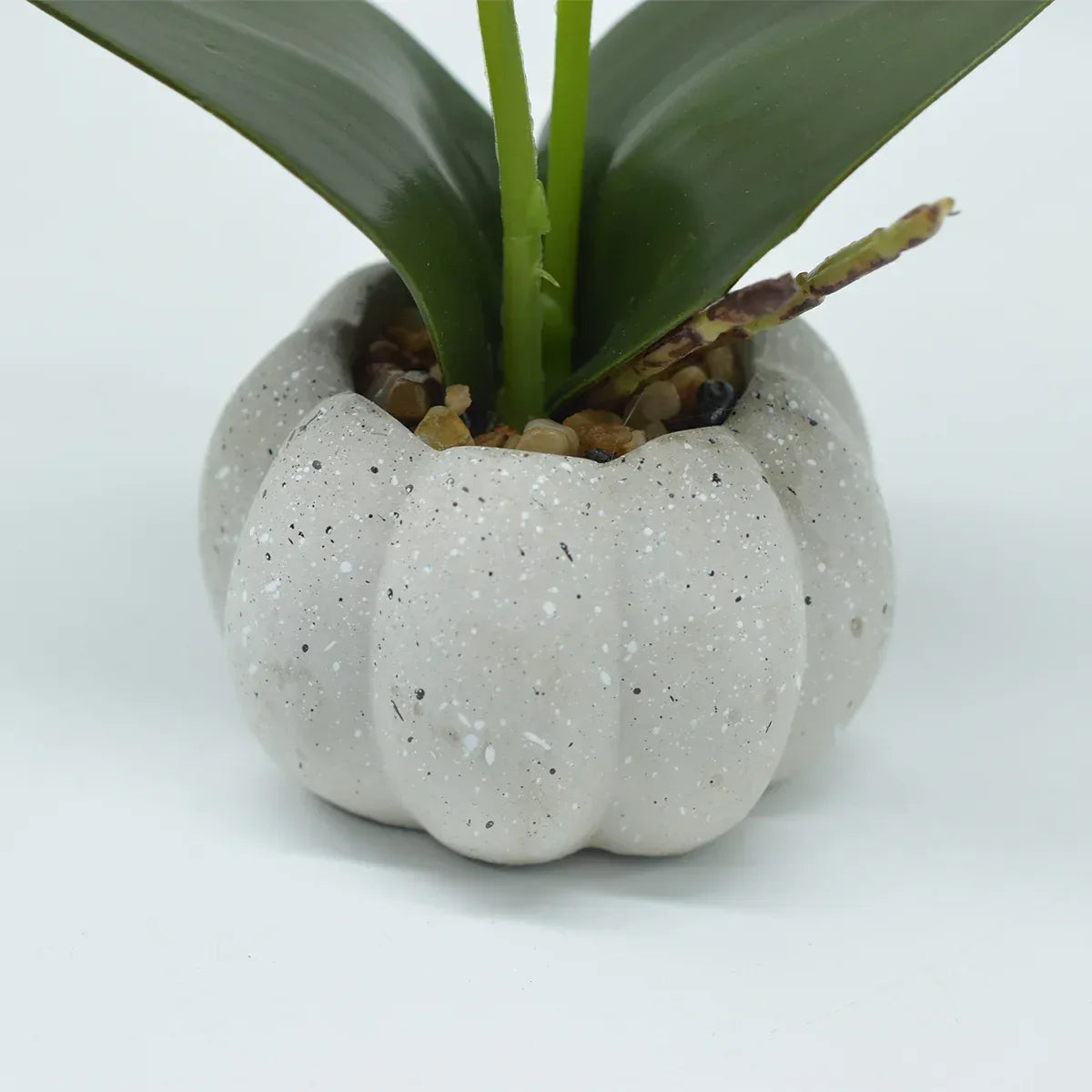 Orhidee cu aspect natural in ghiveci ceramic, 30 cm, Naimeed D4856, Roz