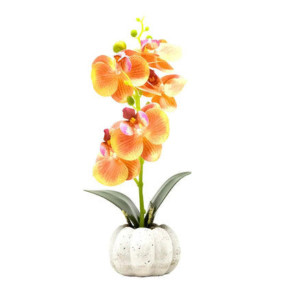 Orhidee cu aspect natural in ghiveci ceramic, 30 cm, Naimeed D4856, Portocaliu