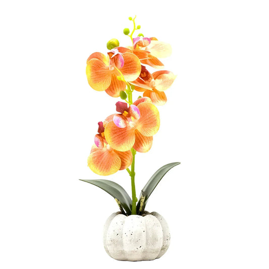 Orhidee cu aspect natural in ghiveci ceramic, 30 cm, Naimeed D4856, Portocaliu