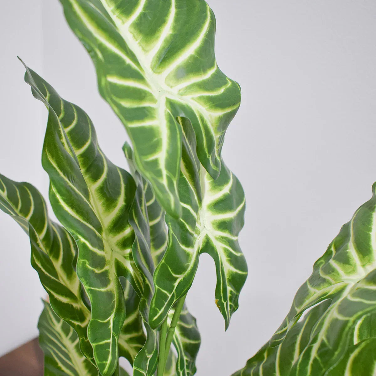 Planta artificiala, fara ghiveci, inaltime 60cm, Naimeed D4993, Verde