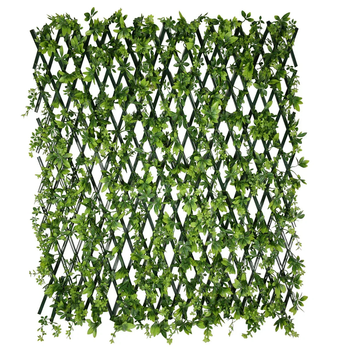 Paravan verde artificial, extensibil, Naimeed D5574, Verde