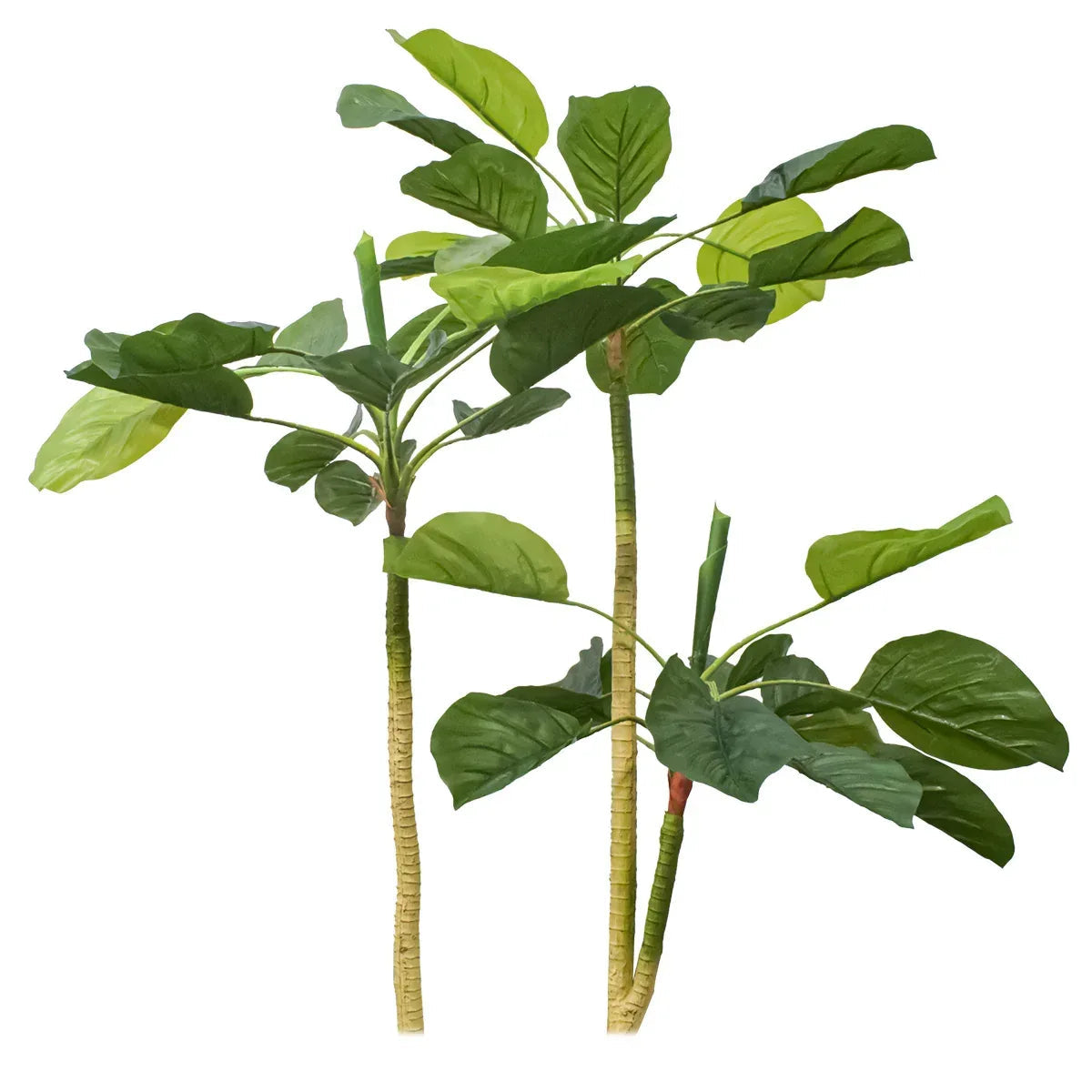Planta artificiala, Dracaena Marginata fara ghiveci, Naimeed D5601, 115x51 cm, Verde