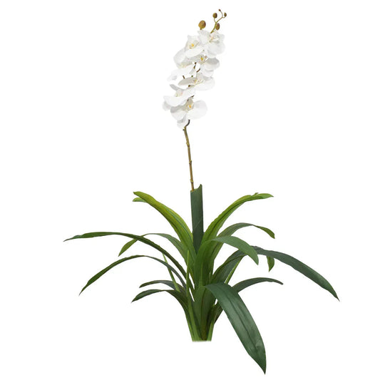Floare artificiala, Orhidee fara ghiveci, Naimeed D5623, 105x60 cm, Alb