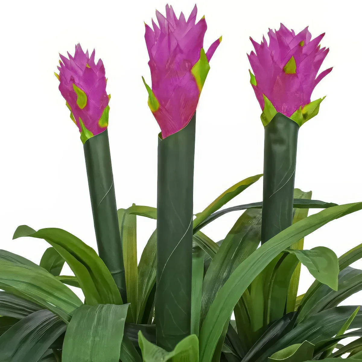 Floare artificiala, Guzmania fara ghiveci, Naimeed D5627, 70x75 cm, Mov