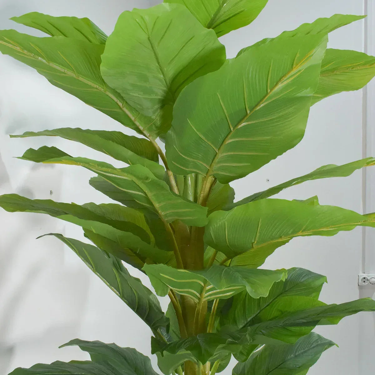 Copac artificial, Banan Japonez fara ghiveci, Naimeed D5641, 180x96 cm, Verde