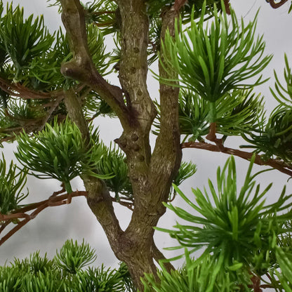 Copac artificial, Bonsai Pin fara ghiveci, Naimeed D5646, 163x80 cm, Verde
