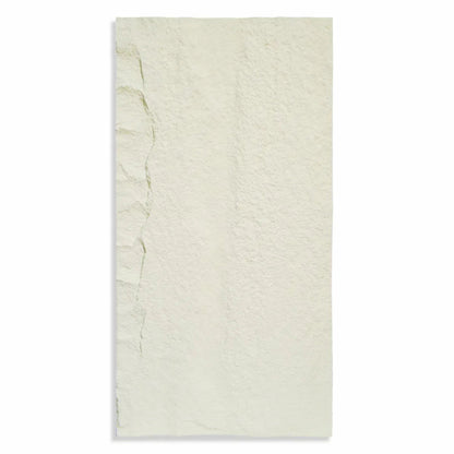 Set 10 x Panou Decorativ 3D, Naimeed D5739, ultrausor, design elegant, PU, 120 x 60 x 3 cm, Crem deschis