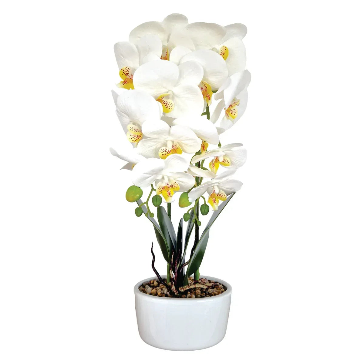 Orhidee cu aspect natural in ghiveci ceramic, 50 cm, Naimeed D5819, Alb