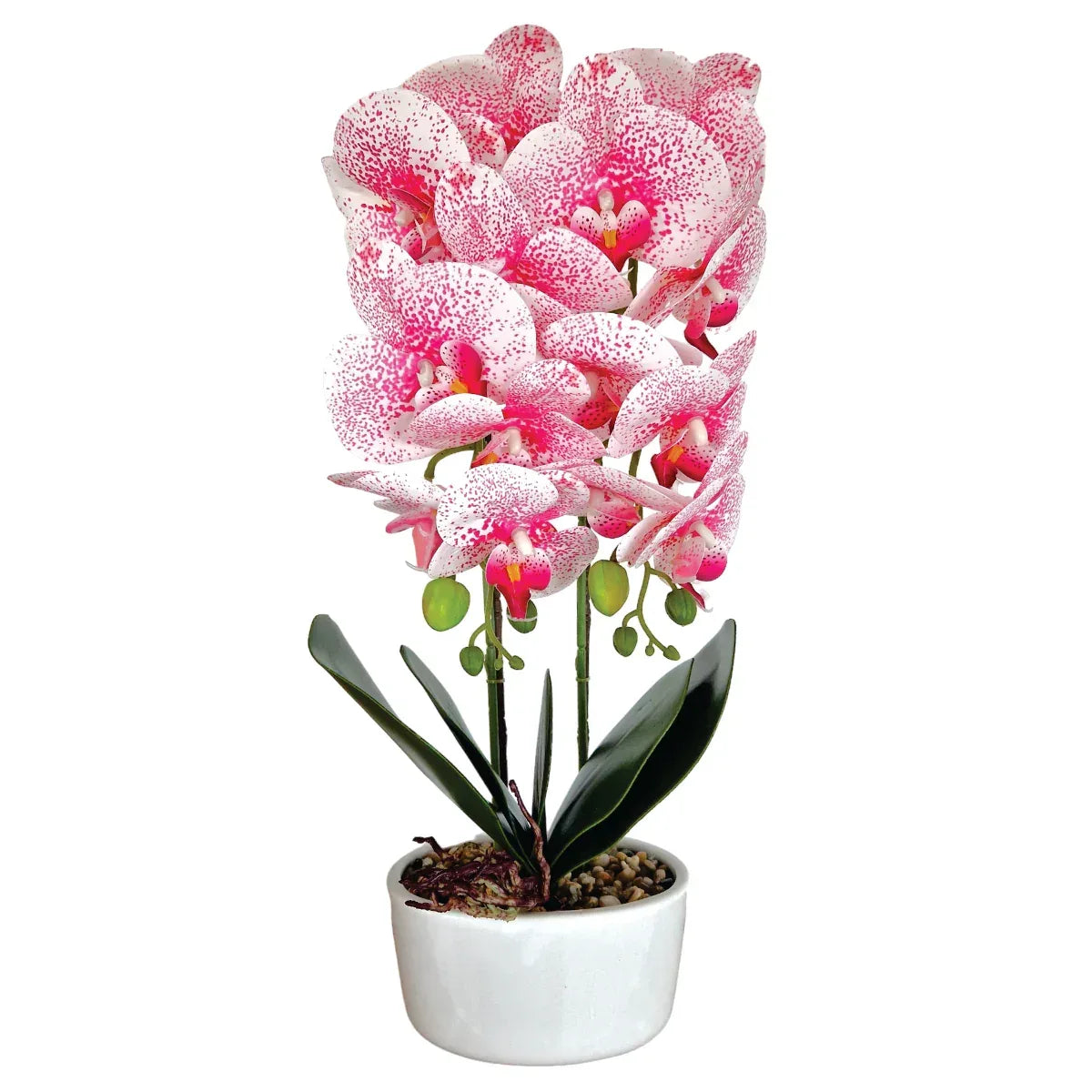 Orhidee cu aspect natural in ghiveci ceramic, 50 cm, Naimeed D5819, Roz