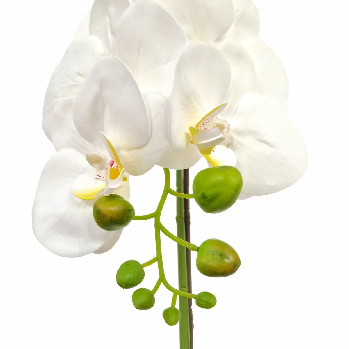 Orhidee cu aspect natural in ghiveci ceramic, 46 cm, Naimeed D5820, Alb