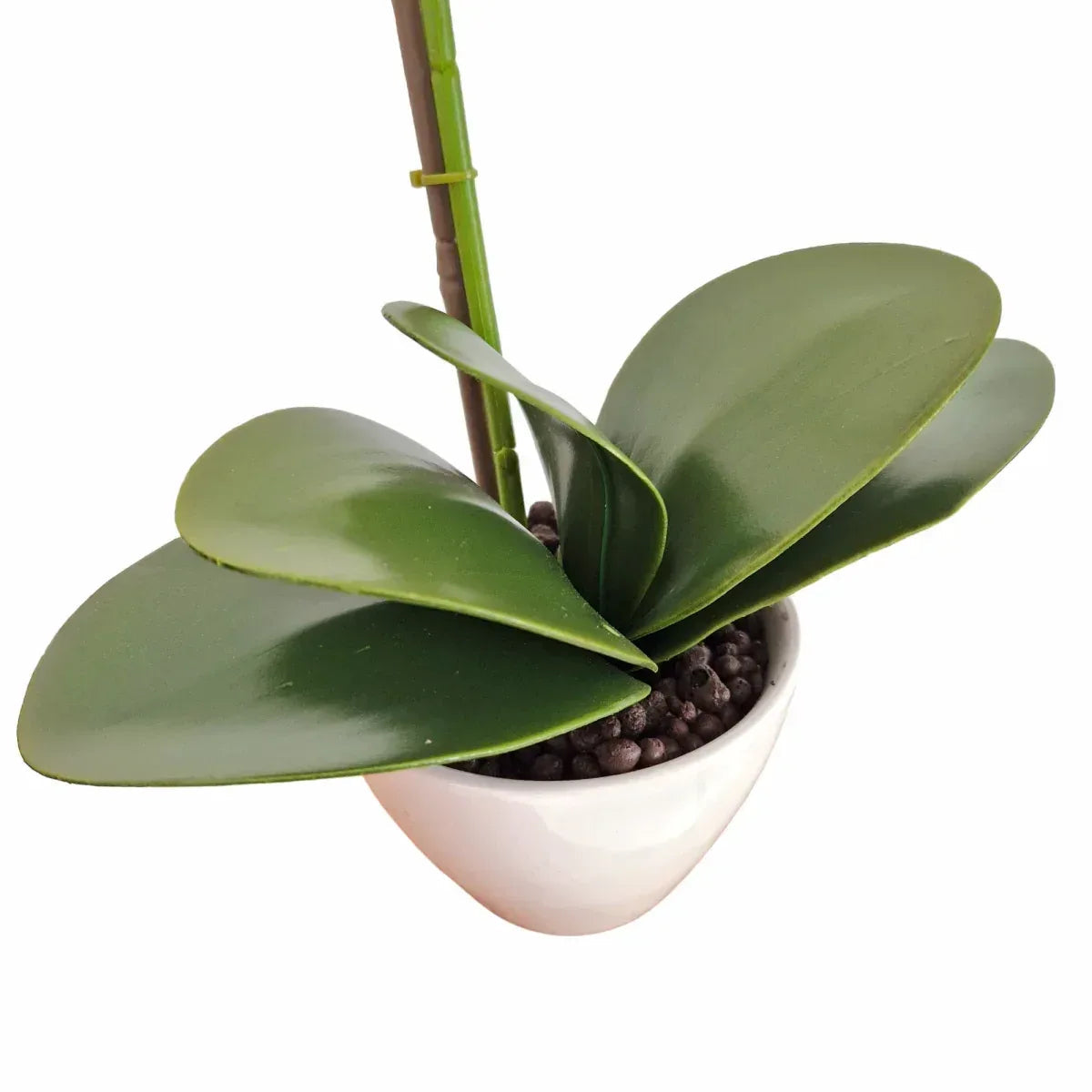 Orhidee cu aspect natural in ghiveci ceramic, 46 cm, Naimeed D5820, Mov