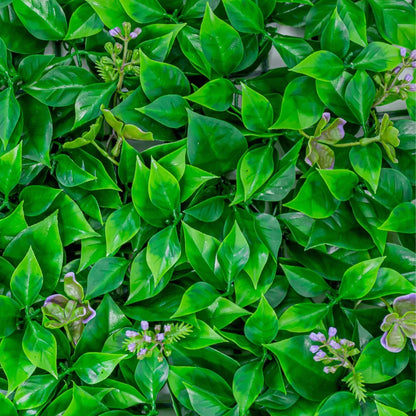 Panou din plante artificiale, cu frunze, Naimeed D5901, Verde Inchis, 600x400mm