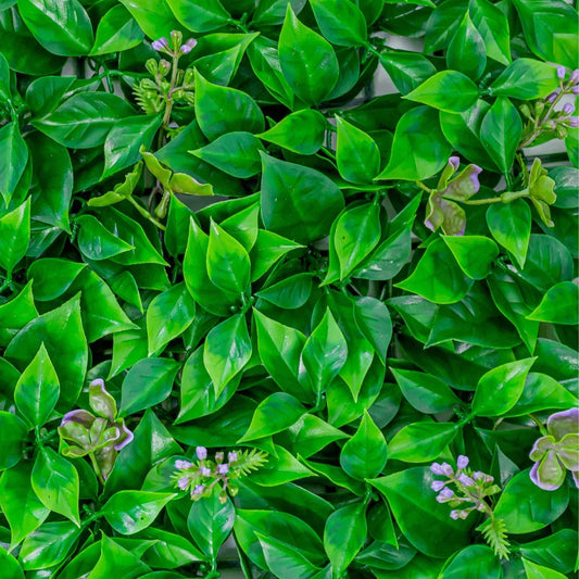 Panou din plante artificiale, cu frunze, Naimeed D5901, Verde Inchis, 600x400mm