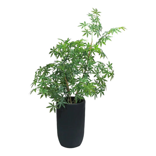 Ghiveci ecologic, Eco-friendly, Naimeed D6359, Mic , din materiale minerale, Alb, 44x32x32cm