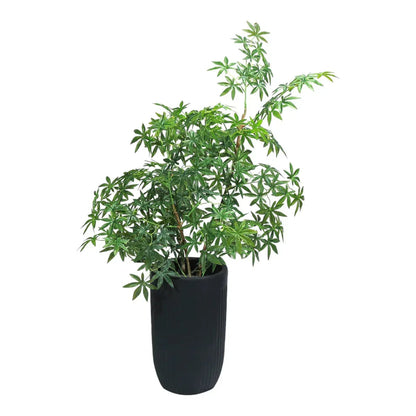 Ghiveci ecologic, Eco-friendly, Naimeed D6359, Mare, din materiale minerale, Negru, 48x40x40cm