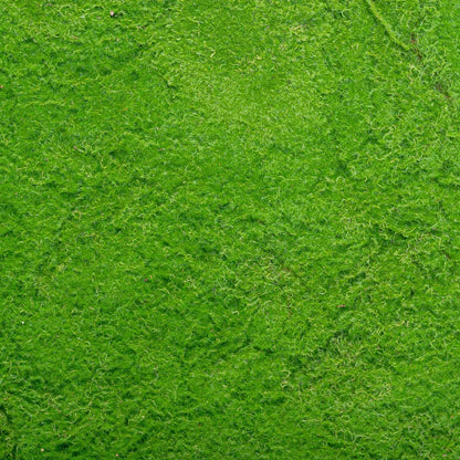 Covor muschi artificial de padure, Naimeed D6538, pentru decorare interioara sau exterioara, Verde, 1000x1000x20mm