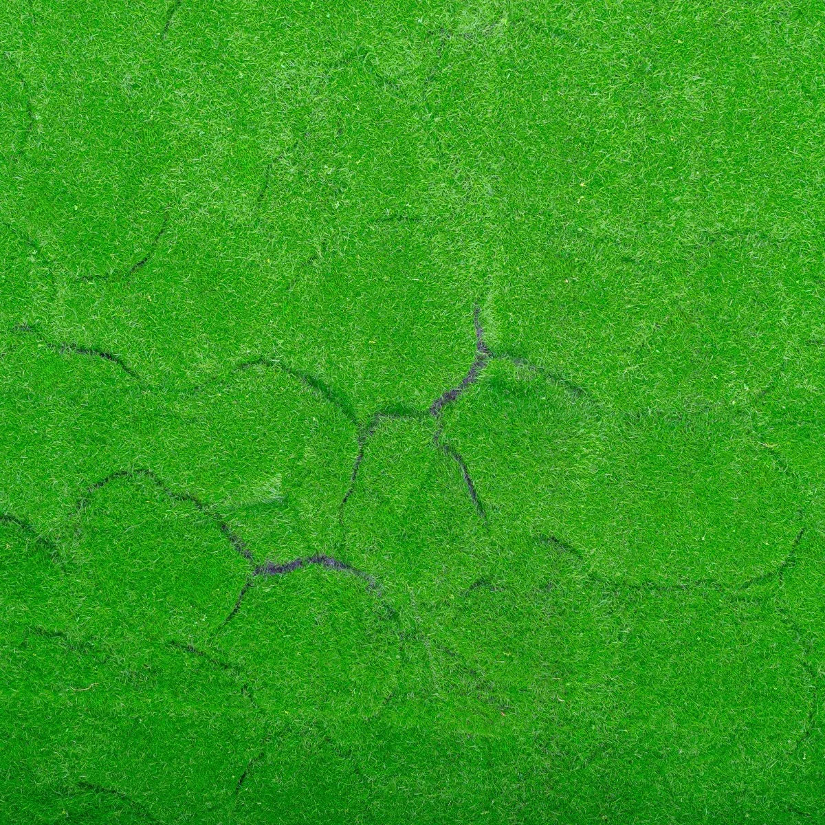 Covor muschi artificial de padure, Naimeed D6540, pentru decorare interioara sau exterioara, Verde, 1000x1000x20mm