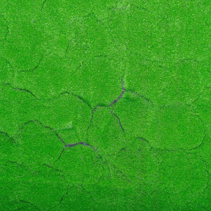 Covor muschi artificial de padure, Naimeed D6540, pentru decorare interioara sau exterioara, Verde, 1000x1000x20mm